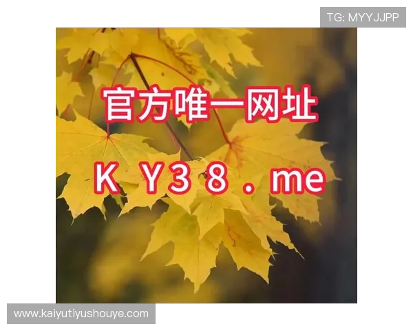 利用KY体育国际入口实现多平台同步登录体验提升游戏便捷性和效率